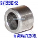 Sinterbuchse im Deckel für Freilauf
