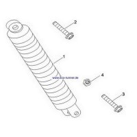 F21-Federbein hinten