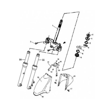 F19-Gabel / Schutzblech vorn