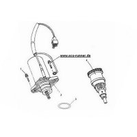 F11 - Startermotor