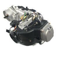 Motor 139QMA/B, 1Zylinder 4-Takt, 49,5ccm, 40cm...