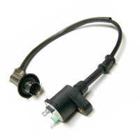 1 - Zündspule mit Kerzenstecker