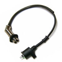 1 - Zündspule mit Kerzenstecker