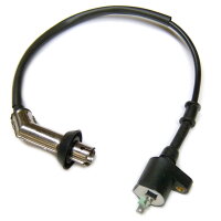 1 - Zündspule mit Kerzenstecker