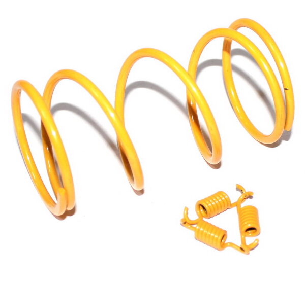 Racing / High Performance Kupplungs-Federn Kit / 1500RPM