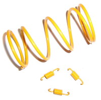Racing / High Performance Kupplungs-Federn Kit / 1500RPM
