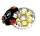 Racing / High Performance Variomatik Kit
