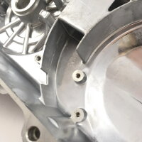 3 - Kupplungs- und Variomatik Abdeckung silber (kurz 10" Rad / Aufn. Speedsensor)