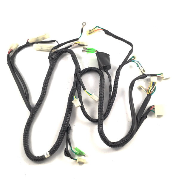 Hauptkabelbaum