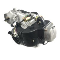 Motor 139QMA/B, 1Zylinder 4-Takt, 49,5ccm (längere Version / 43cm)