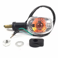 Blinker hinten rechts (komplett)