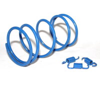 Racing / High Performance Kupplungs-Federn Kit / 1000RPM