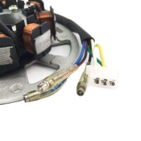Lichtmaschinen Stator / Ankerplatte 6 Kabel 2-Takt  50ccm SCOOTER