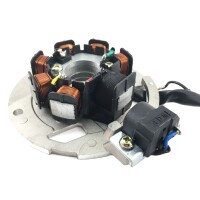 Lichtmaschinen Stator / Ankerplatte 6 Kabel 2-Takt  50ccm SCOOTER