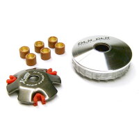 RACING VARIOMATIK 5.0gr.für 4-TAKT Roller mit 139QMA/QMB Motor