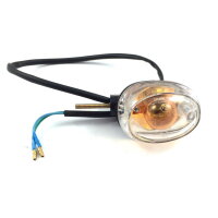 1 - Frontblinker links (KlarGlas)