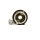 Tachogeber / Tachoschnecke für BAOTIAN BT125T-7  YIYING BENZHOU YY125T-12 ROLLER 125c