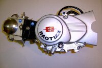 Motor Typ 139FMA / 48ccm