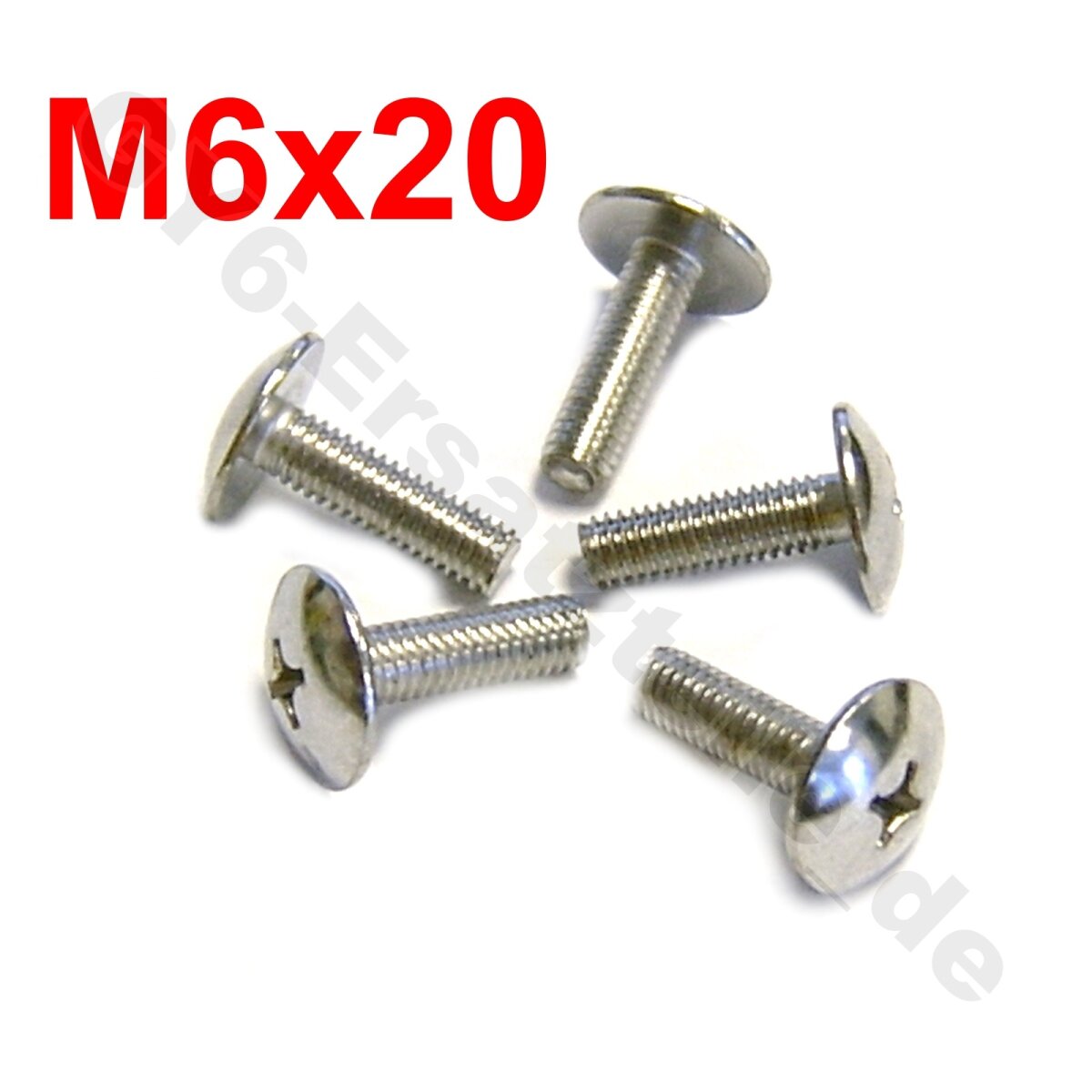 5x Schraube M6x20 ( Kreuzschlitz), 5,90