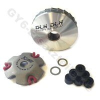 RACING VARIOMATIK 9.0gr.für 4-TAKT Roller mit...