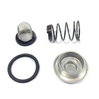 ÖL FILTER SET & ABLAßSCHRAUBE inkl. O-RING GY6 MOTOREN 4-TAKT CHINA