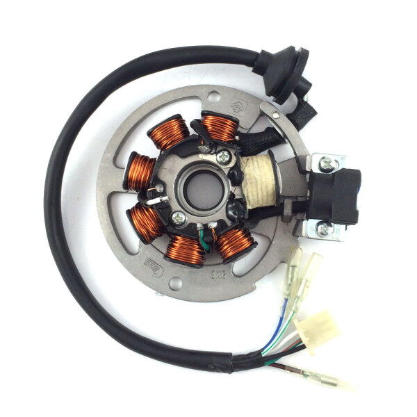 4- Lichtmaschine Stator / Ankerplatte