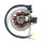 4- Lichtmaschine Stator / Ankerplatte