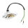 Blinker links hinten - Klarglas - Chrome Rahmen