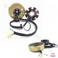 6 - Lichtmaschine kompl. (Stator + Rotor) 8 Spulen