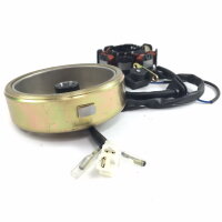 6 - Lichtmaschine kompl. (Stator + Rotor) 8 Spulen