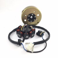 6 - Lichtmaschine kompl. (Stator + Rotor) 8 Spulen