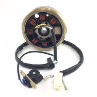 6 - Lichtmaschine kompl. (Stator + Rotor) 8 Spulen