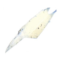 Seitenverkleidung oben rechts silber-blau QT2 u.a.