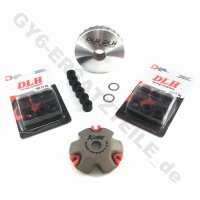 RACING VARIOMATIK SET 5.0 + 6.0 + 9.0gr. für GY6...