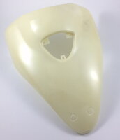 Frontcover RS460 - unlackiert