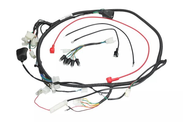 Kabelbaum + Tachometerkabelbaum Komplett für GY6 4-Takt China Roller (Universal)