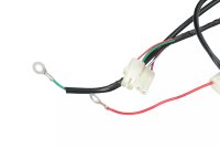 Kabelbaum + Tachometerkabelbaum Komplett für GY6 4-Takt China Roller (Universal)