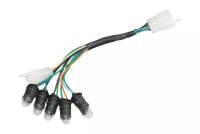 Kabelbaum + Tachometerkabelbaum Komplett für GY6 4-Takt China Roller (Universal)