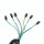 Kabelbaum + Tachometerkabelbaum Komplett für GY6 4-Takt China Roller (Universal)