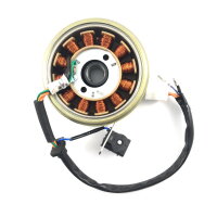 Lichtmaschine komplett Retro Cruiser 125cc - 12 Spulen
