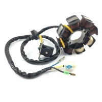 Lichtmaschine Stator 50cc AC 139QMA 2K