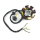 Lichtmaschine Stator 50cc AC 139QMA 2K