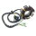 Lichtmaschine Stator 50cc AC 139QMA 2K