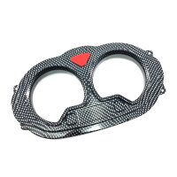 1a - Tachoglas Carbon Look (TYP 2)