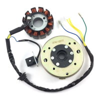 Lichtmaschine komplett ZN125 125cc - 12 Spulen