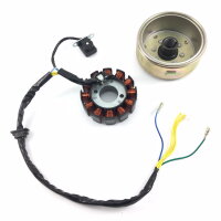 Lichtmaschine komplett ZN125 125cc - 12 Spulen