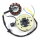 Lichtmaschine komplett ZN125 125cc - 12 Spulen