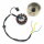 Lichtmaschine komplett ZN125 125cc - 12 Spulen