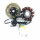 Lichtmaschine komplett ZN125 125cc - 12 Spulen