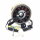 Lichtmaschine komplett ZN125 125cc - 12 Spulen